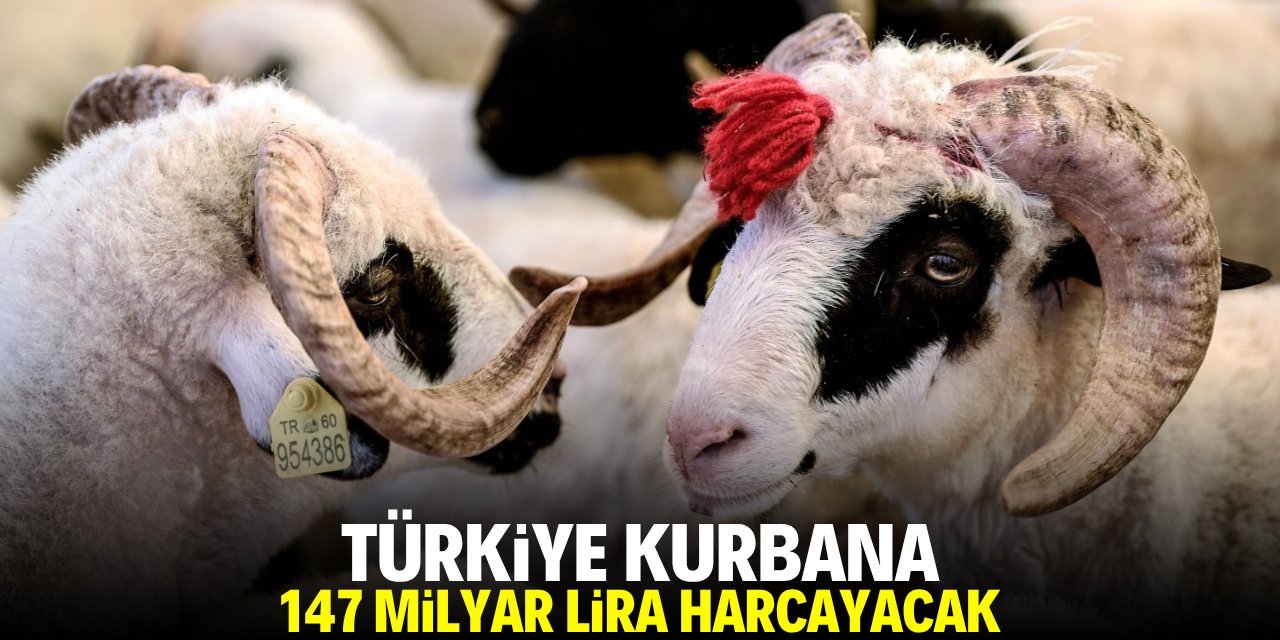 Kurbana Türkiye 147 milyar lira harcayacak