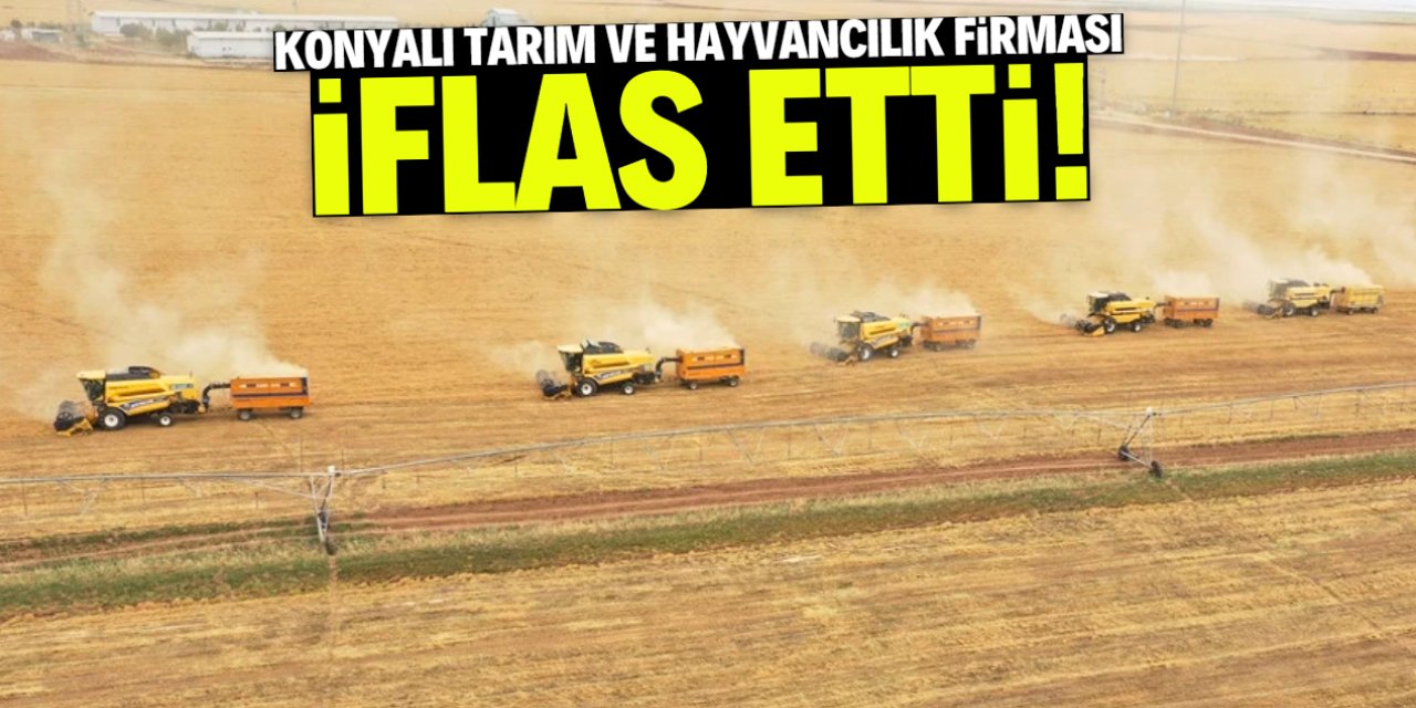 Konyalı tarım ve hayvancılık firması iflas etti! Herkes adını biliyordu