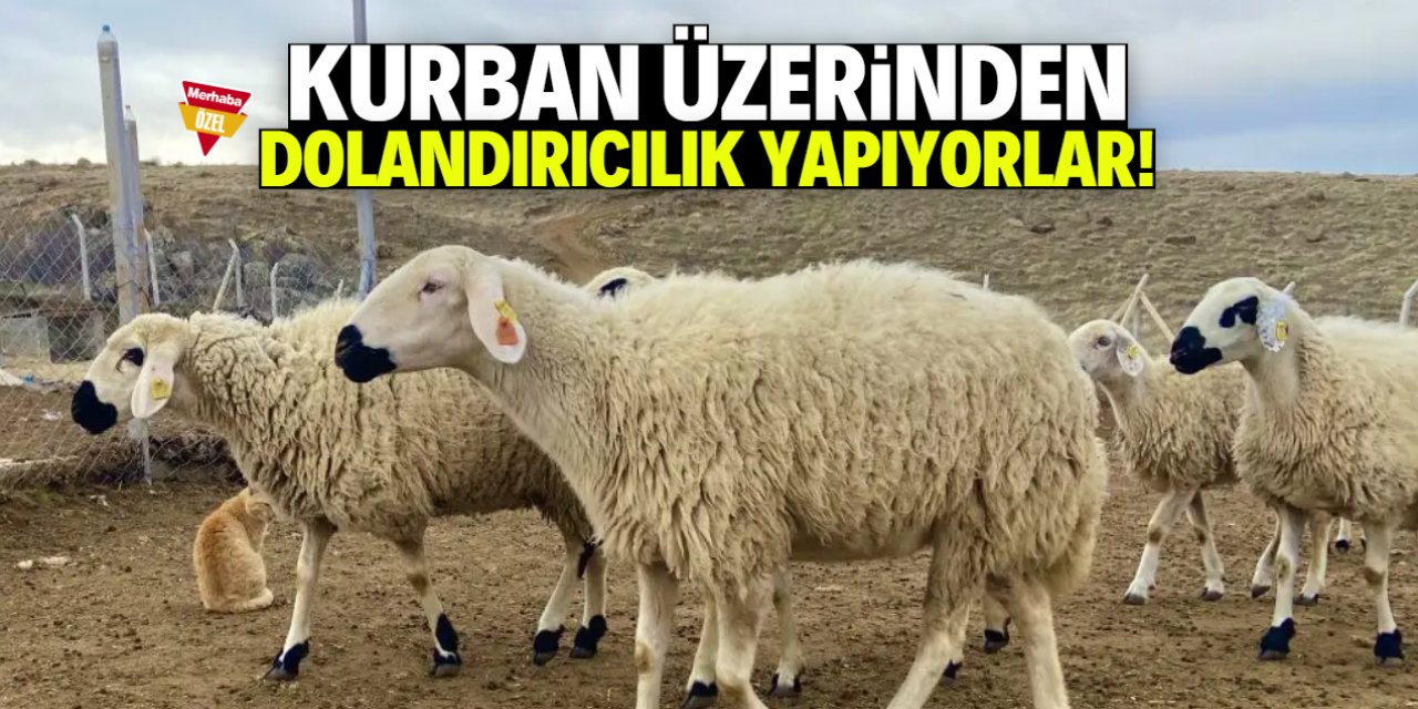 Kurban ibadetine gölge düşürdüler!