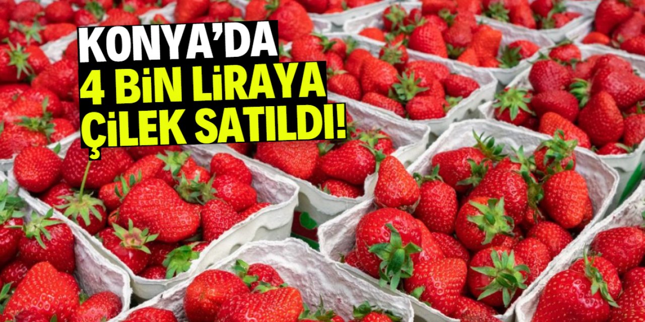 Konya'da 4 bin liraya 1 kilo çilek satıldı! İşte şaşırtan özelliği