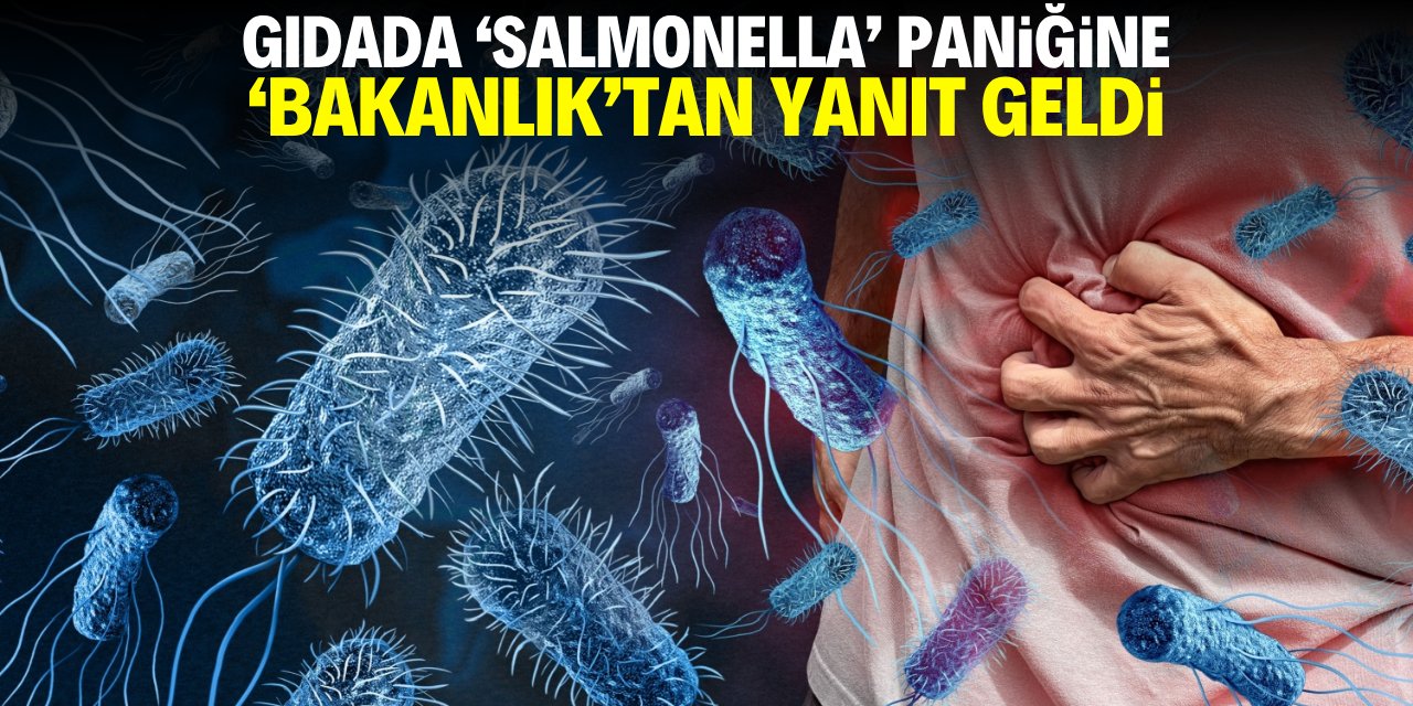 Gıdada 'Salmonelle' paniğine Bakanlık'tan yanıt geldi