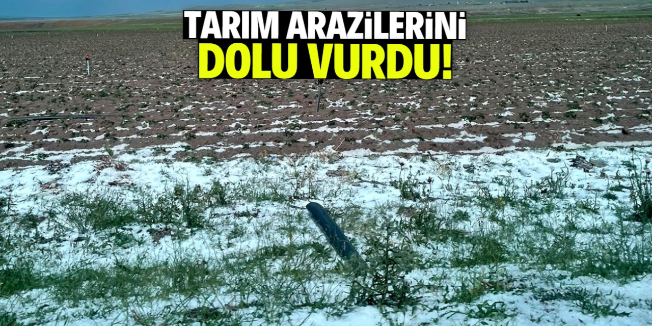Aksaray'da tarım arazilerini dolu vurdu!