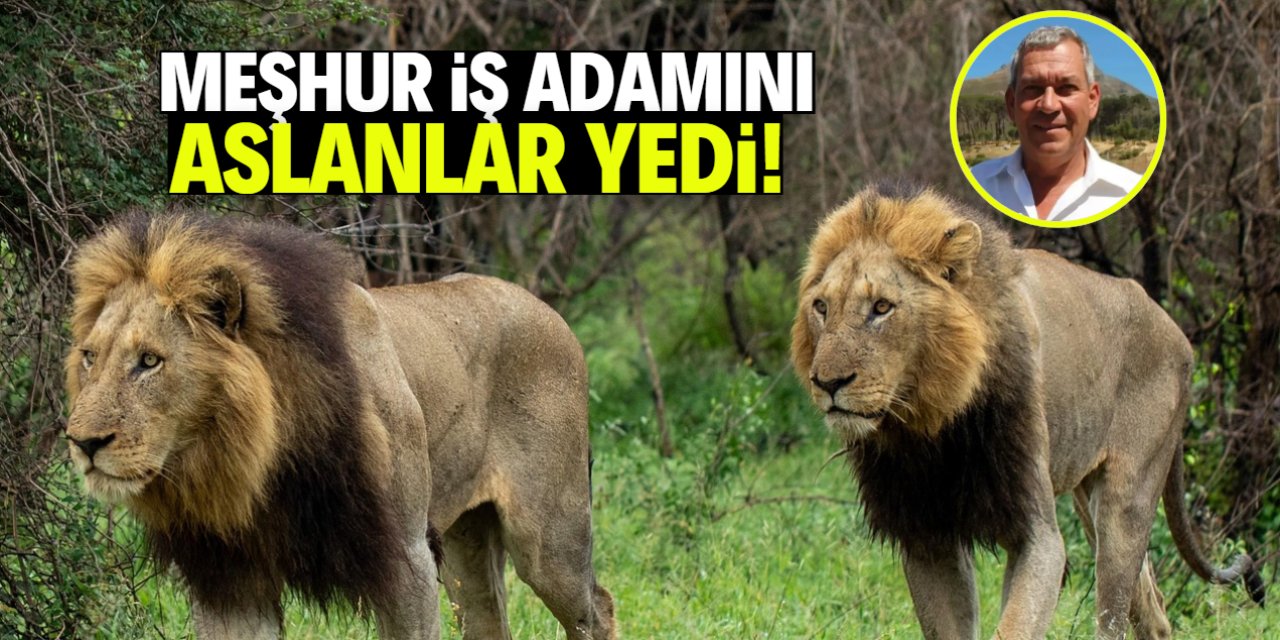 Meşhur iş adamını aslanlar yedi! İşte o isim