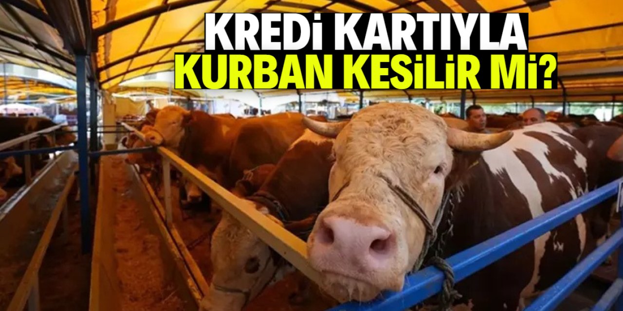 Kredi kartıyla kurban kesilir mi? İşte hocanın cevabı