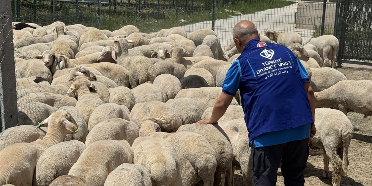 TDV, Konya'da kurban etlerini 12 bin kişiye ulaştıracak