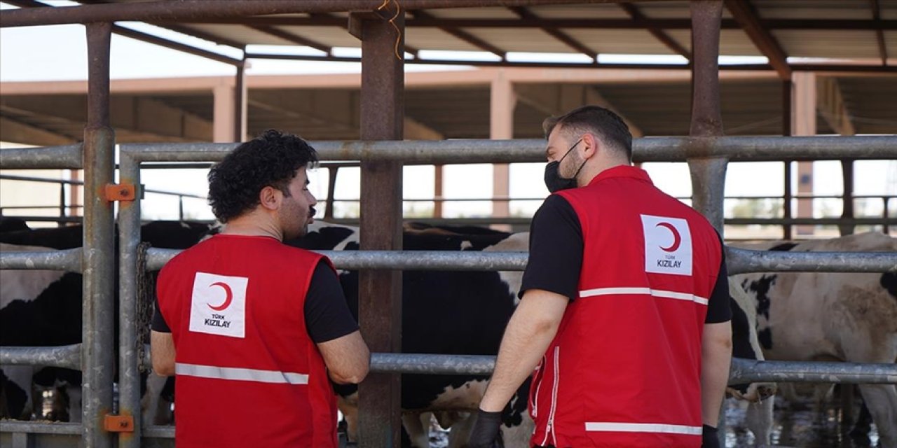 Türk Kızılay’dan Irak’ta ihtiyaç sahibi ailelere dokuz tonluk kurbanlık et bağışı