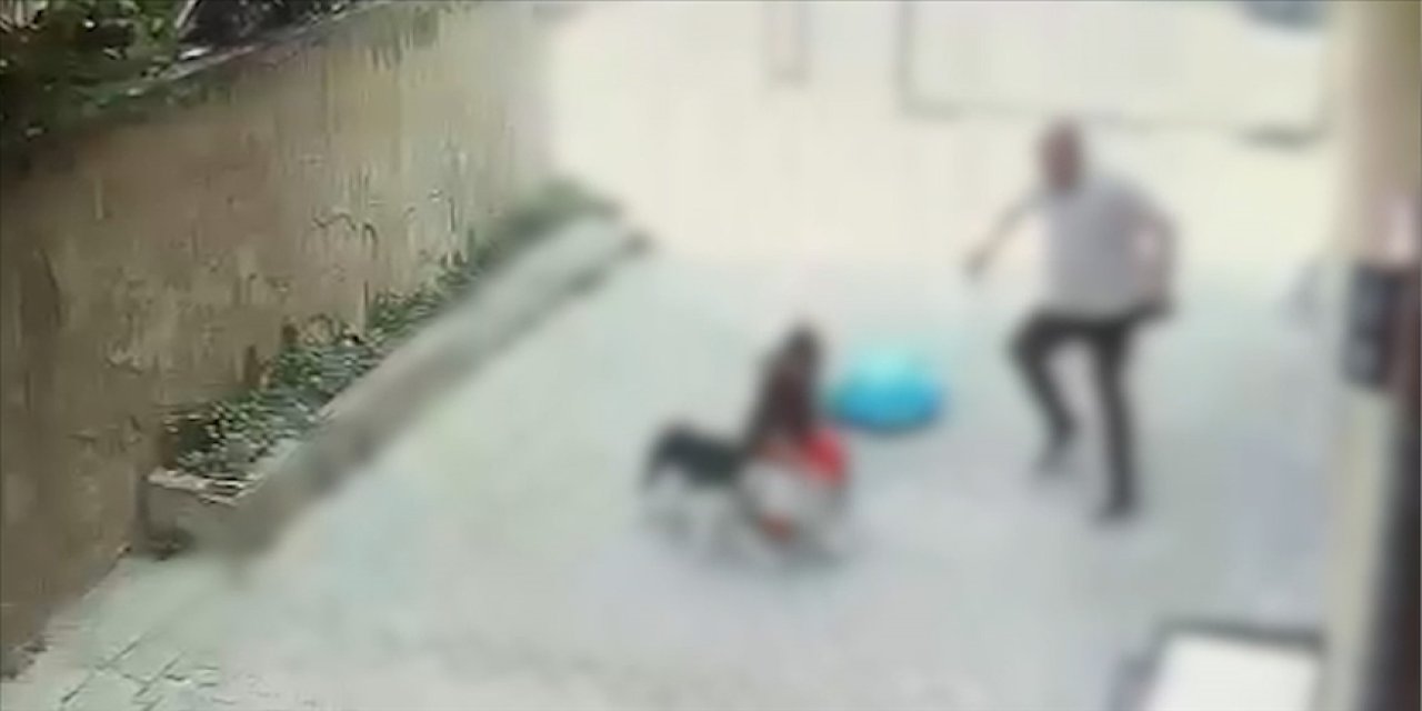 İstanbul'da pitbull cinsi köpeğin saldırdığı çocuk yaralandı
