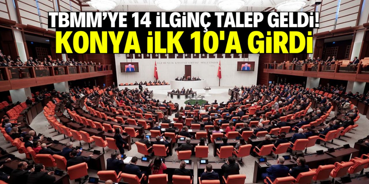 TBMM'ye 14 ilginç talep geldi! Konya ilk 10'a girdi