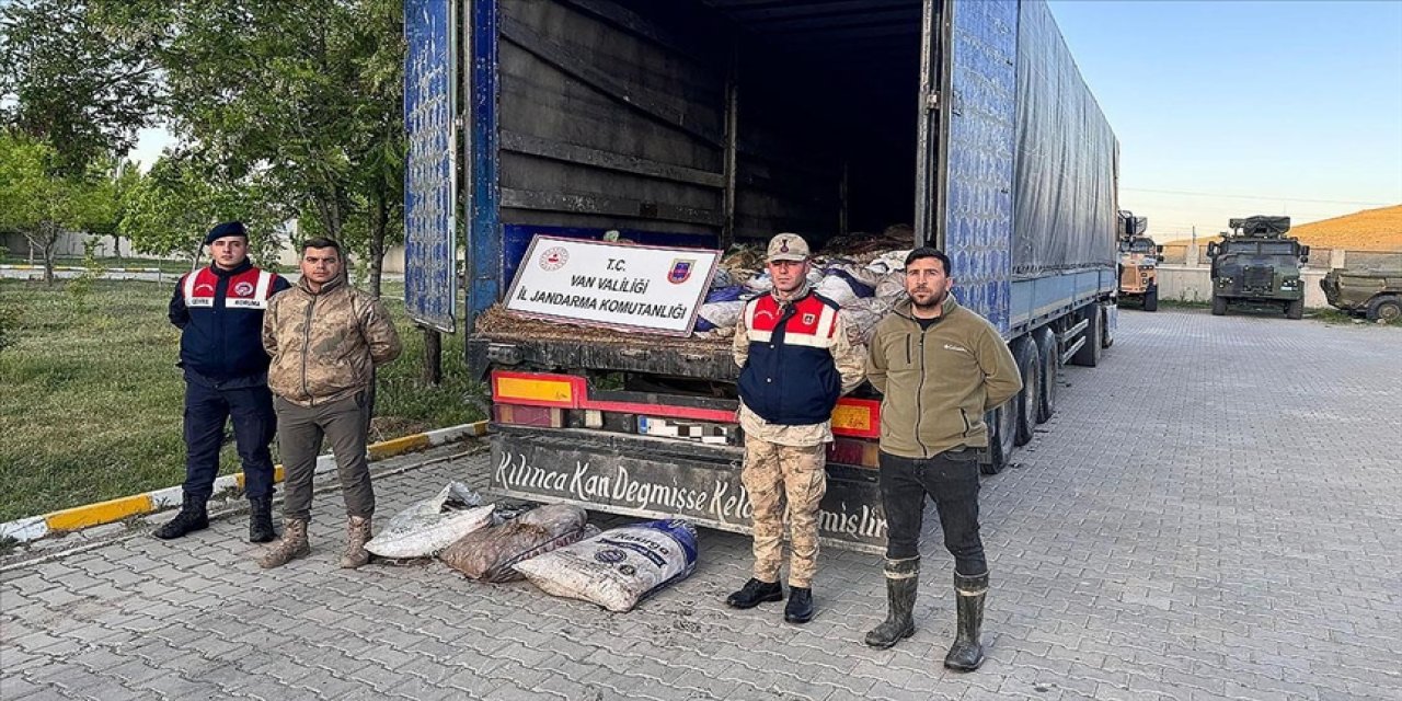 Kaçak avlanmış 19 ton 200 kilogram inci kefali ele geçirildi