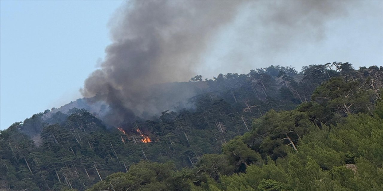 Denizli'de çıkan orman yangını söndürüldü