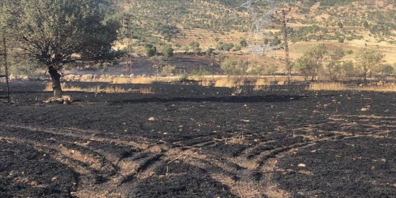 Şırnak'ta yaklaşık 50 dönüm buğday ekili alan yandı