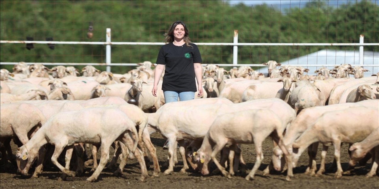 Babasından kalan sürüyü büyütmek için göç etti