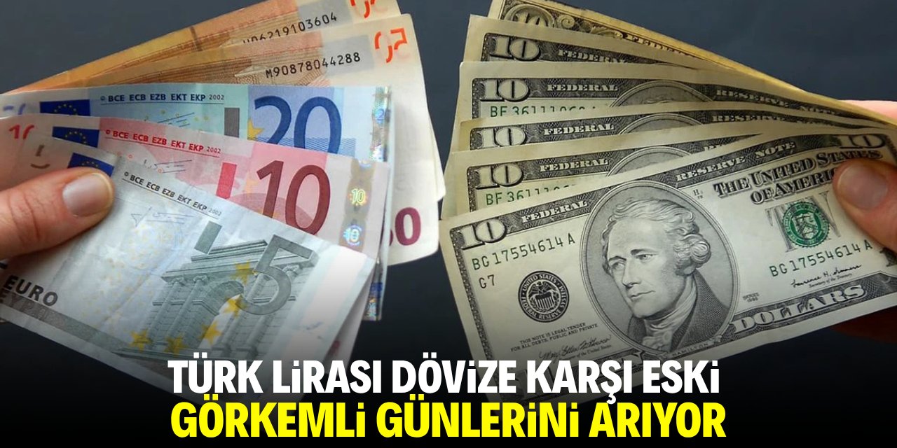 Türk Lirası dövize karşı eski görkemli günlerini arıyor