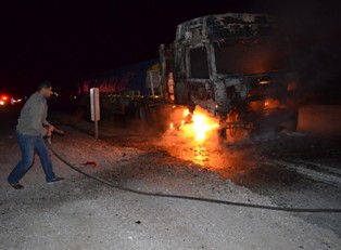 TIR'da başlayan yangın ormana sıçradı