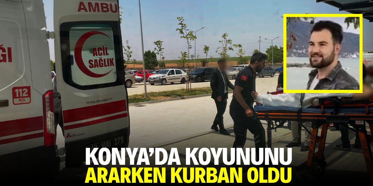 Konya'da koyununu ararken kurban oldu