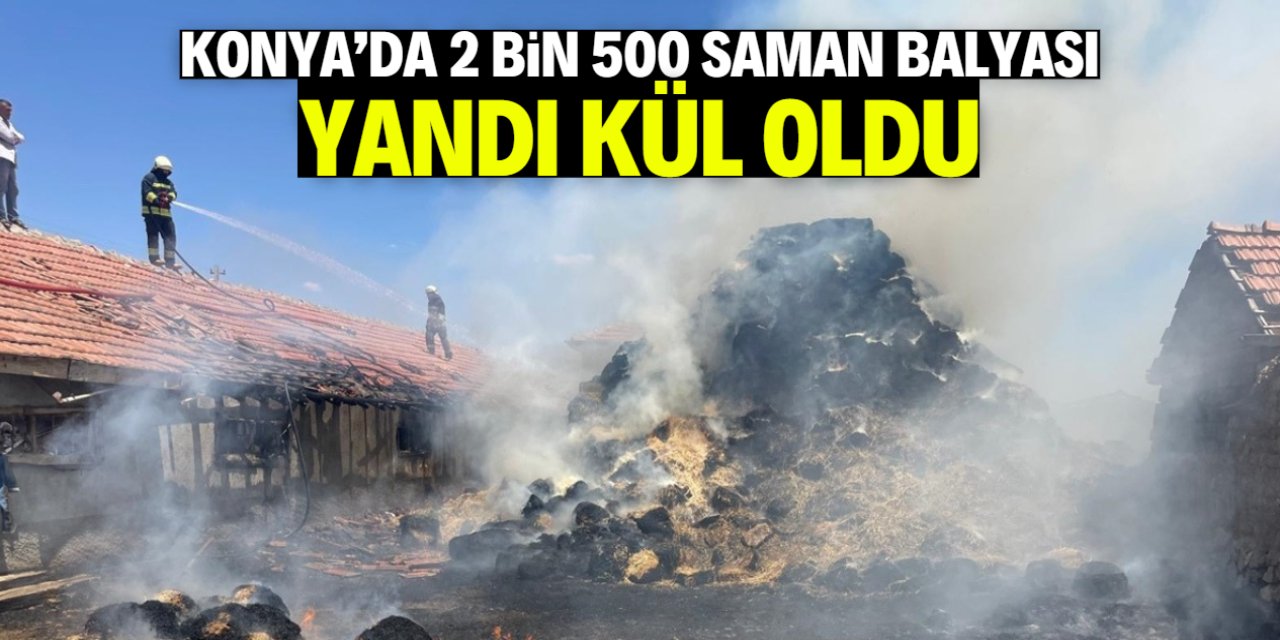 Konya'da çıkan yangında 2 bin 500 saman balyası kül oldu