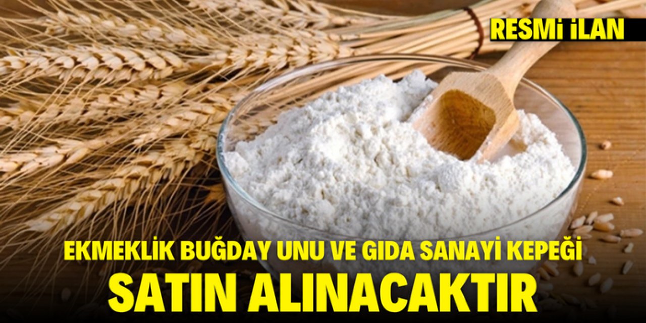 EKMEKLİK BUĞDAY UNU VE GIDA SANAYİ KEPEĞİ SATIN ALINACAKTIR