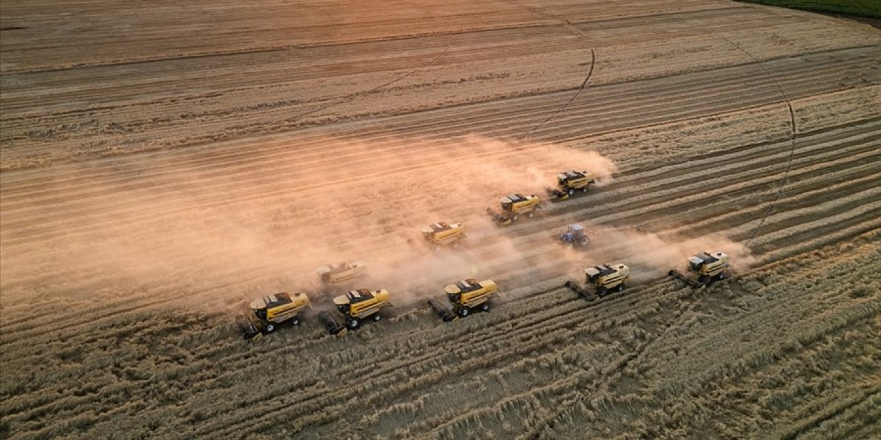 TÜİK: Tarımda yıllık enflasyon yüzde 29