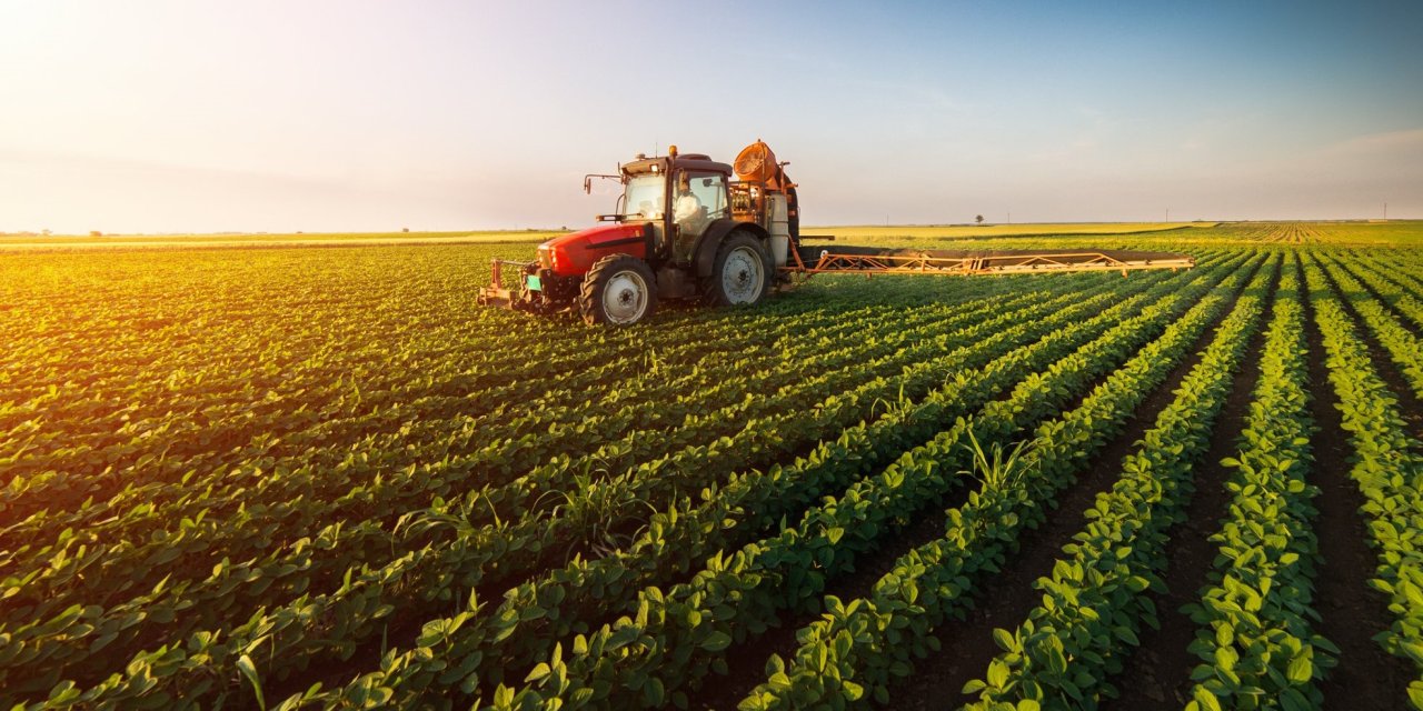 Kırsal kalkınma kapsamında hibe verilecek