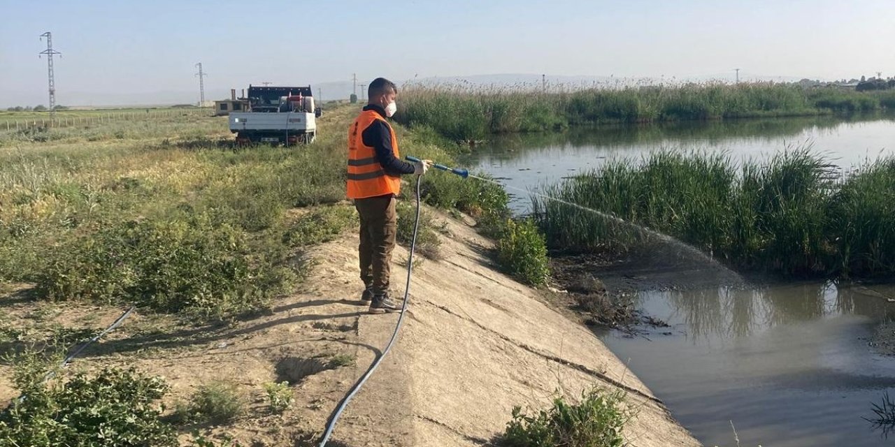 Akşehir'de ilaçlama çalışmaları sürüyor