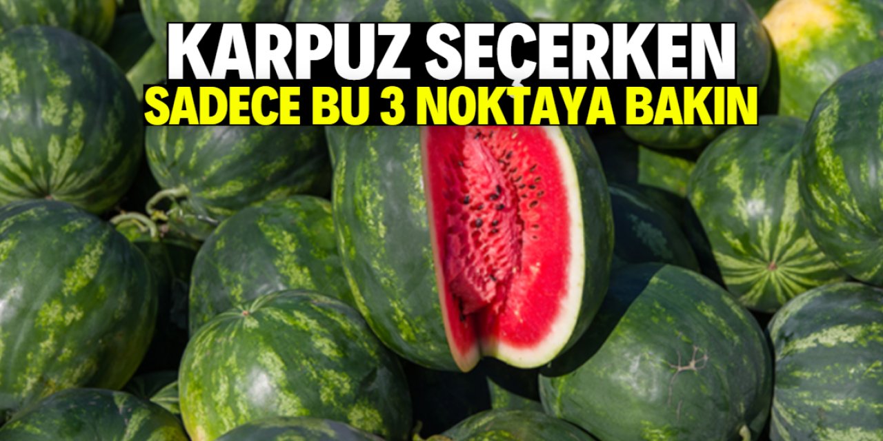 Karpuz seçerken sadece bu 3 noktaya bakın!