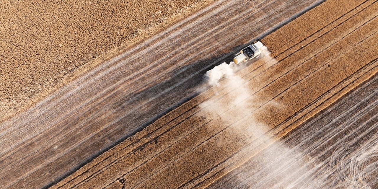 Çiftçilere yaklaşık 263 milyon lira destek