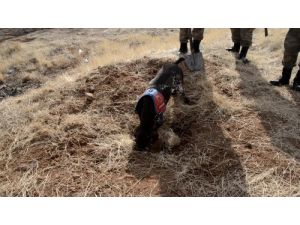 Araziye Gömülü 24,5 Kilogram Esrar Bulundu