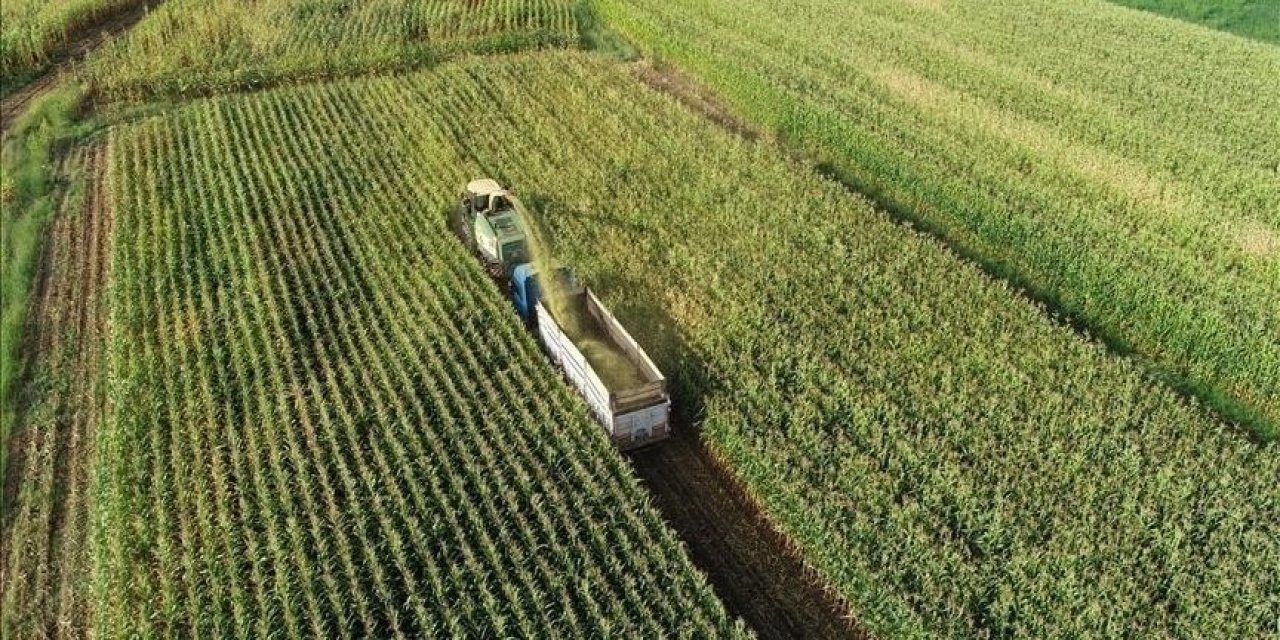 Tarım sayım seferberliği temmuzda başlıyor