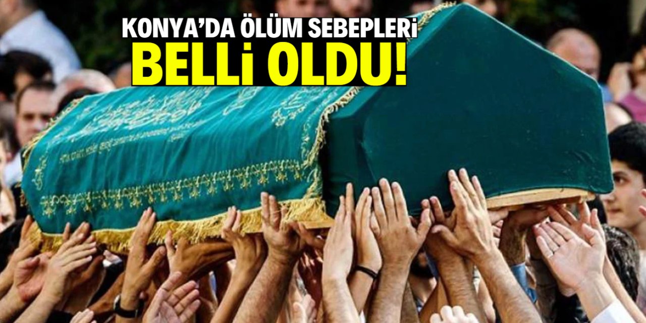 Konya’da ölüm sebepleri belli oldu! İlk sırada bu hastalık var