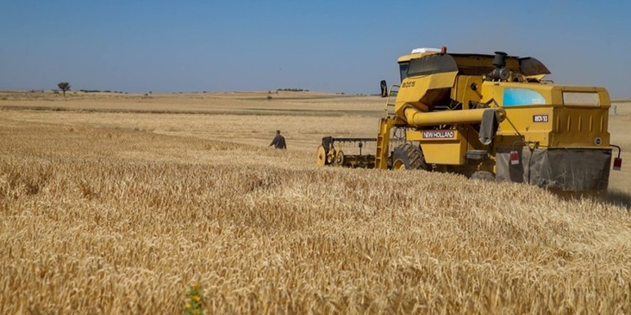 Kuraklığa dayanıklı arpa ve buğday hasadı yapıldı