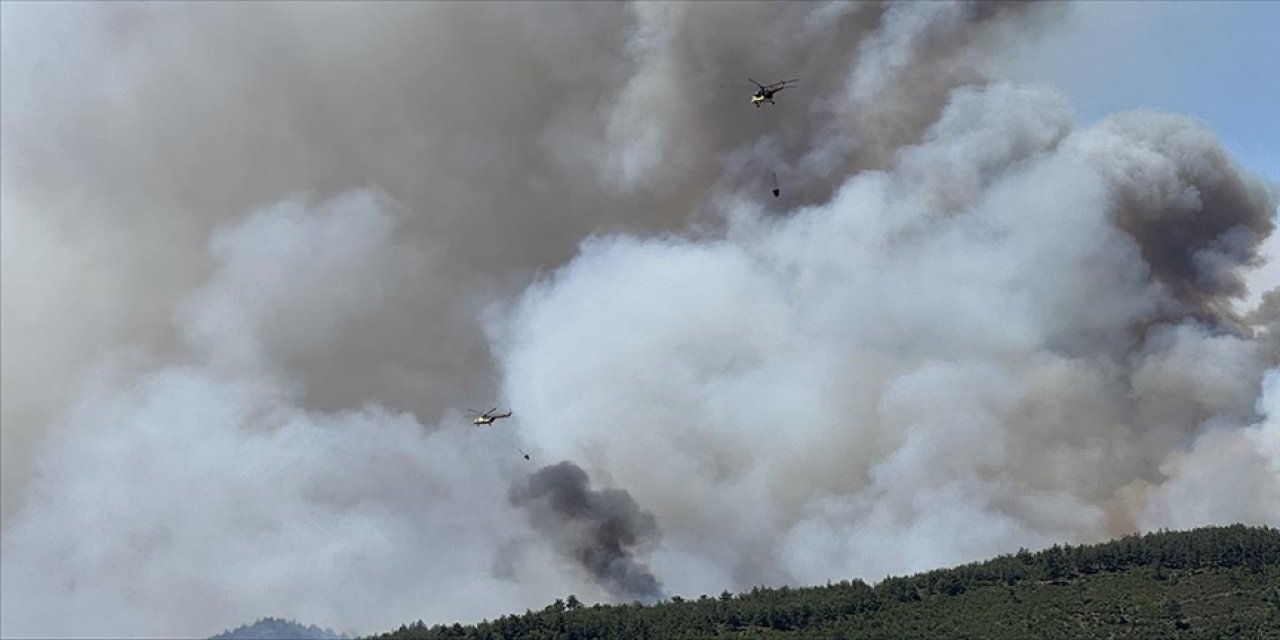 Orman yangınlarına havadan ve karadan müdahale ediliyor