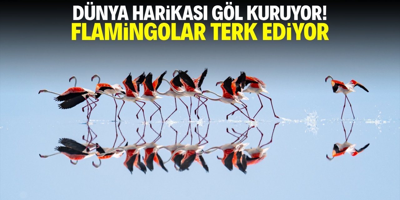Dünya harikası gölde su azalıyor, flamingolar terk ediyor