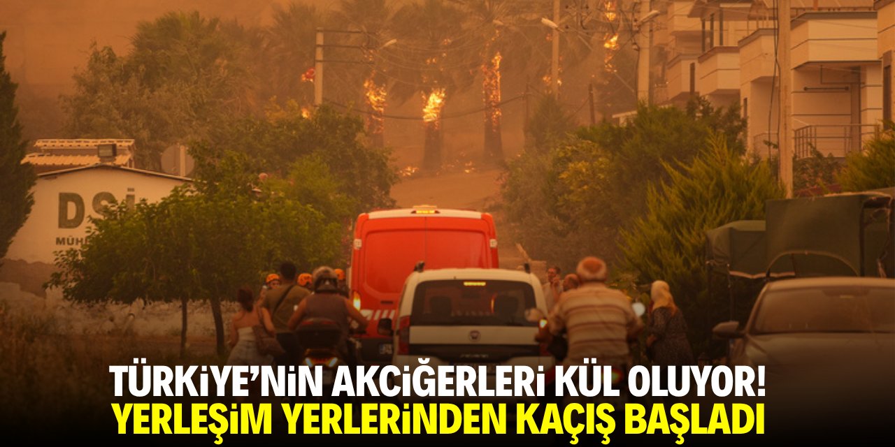 Türkiye'nin akciğerleri kül oluyor! Yangından kaçış başladı