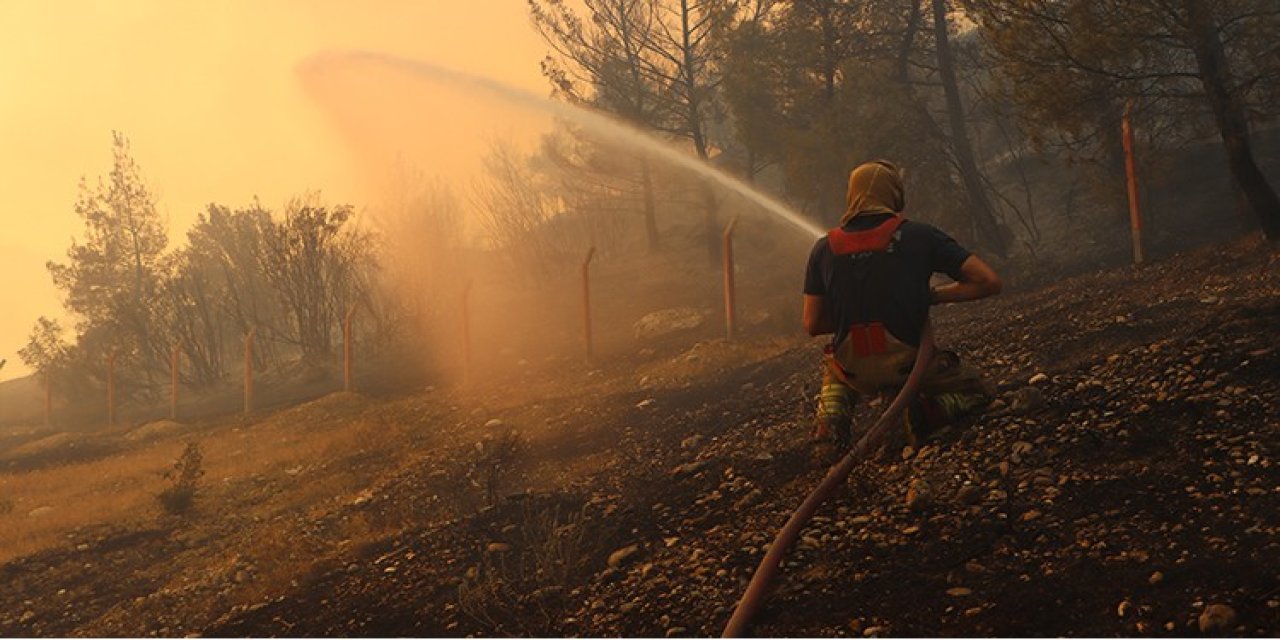 Yangınlar sürüyor! Ormanlar yok oluyor