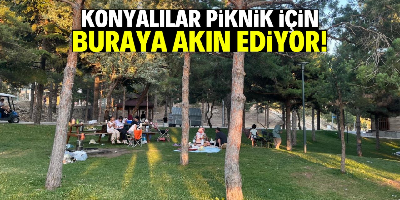 Konyalılar piknik için buraya akın ediyor! Giriş 50 TL
