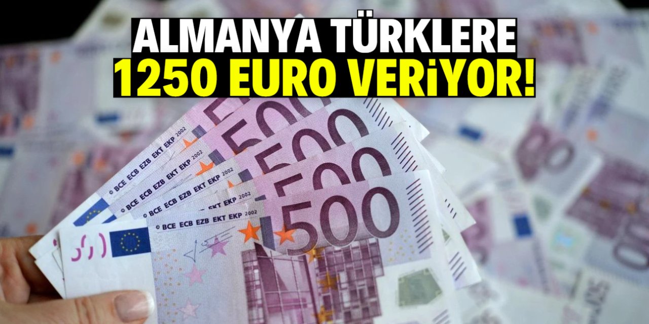Almanya Türklere 1250 Euro para veriyor! İşte o uygulama