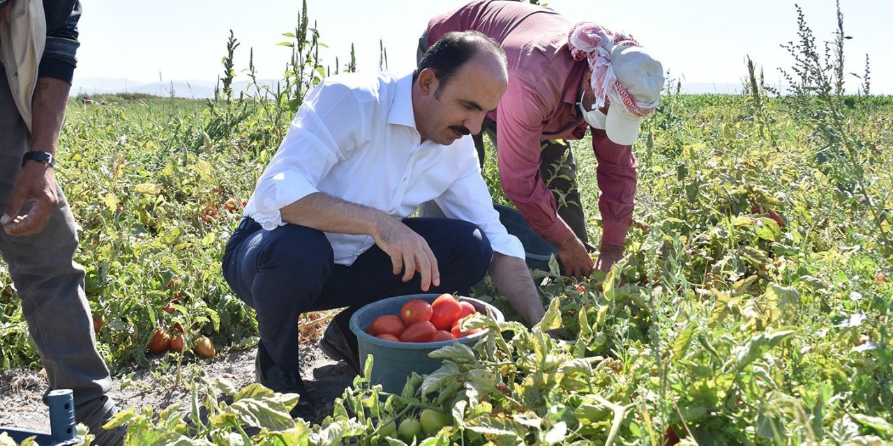 Konya'da tarımsal destek başvuruları başladı