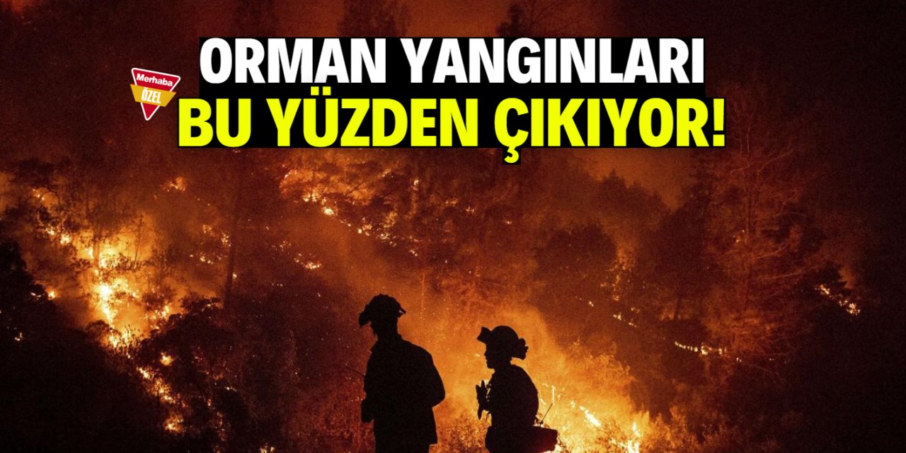 Orman yangınları bu yüzden çıkıyor! Dikkat uyarısı