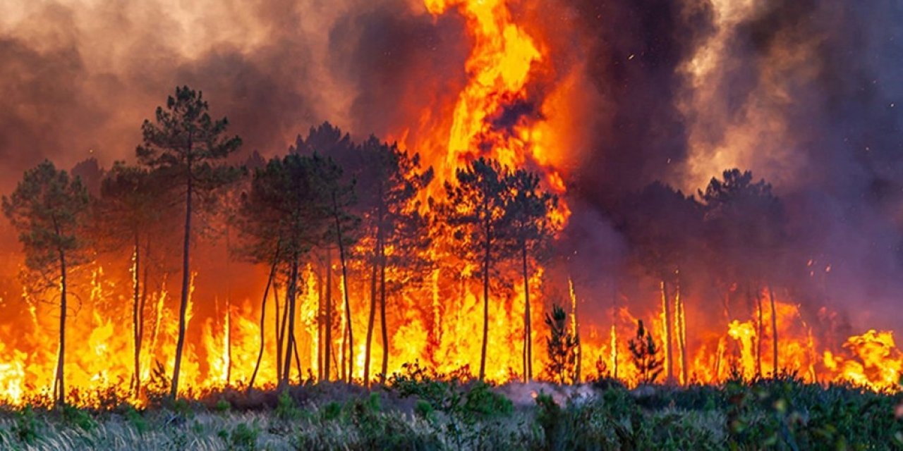 Bir ayda 612 orman yangını çıktı
