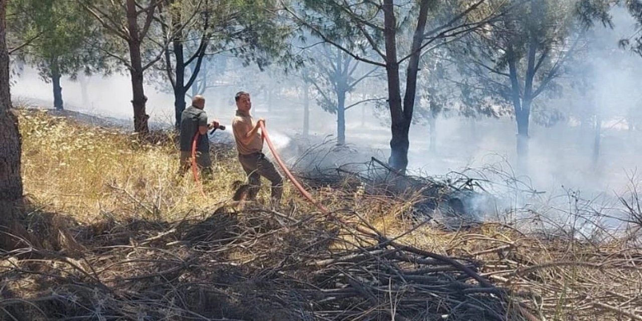 Ağaçlık alanda çıkan yangın kontrol altına alındı