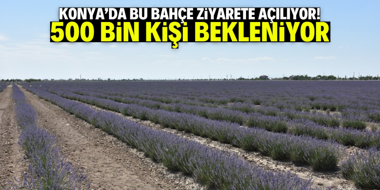 Konya'da bu bahçe ziyarete açılıyor! 500 bin kişi bekleniyor
