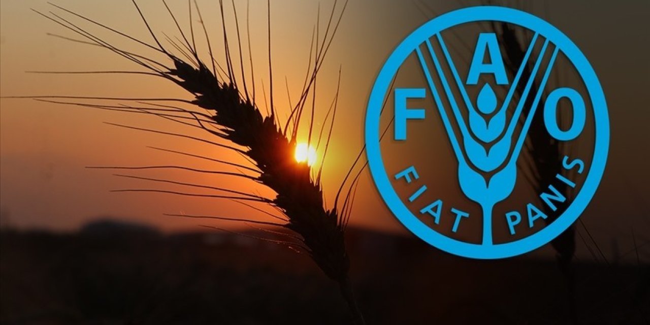 Türkiye, FAO konsey üyeliğine seçildi