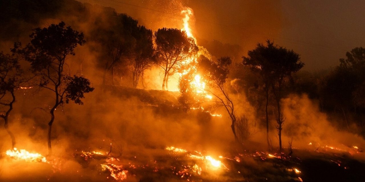 Orman yangınlarıyla ilgili tutuklu sayısı artıyor