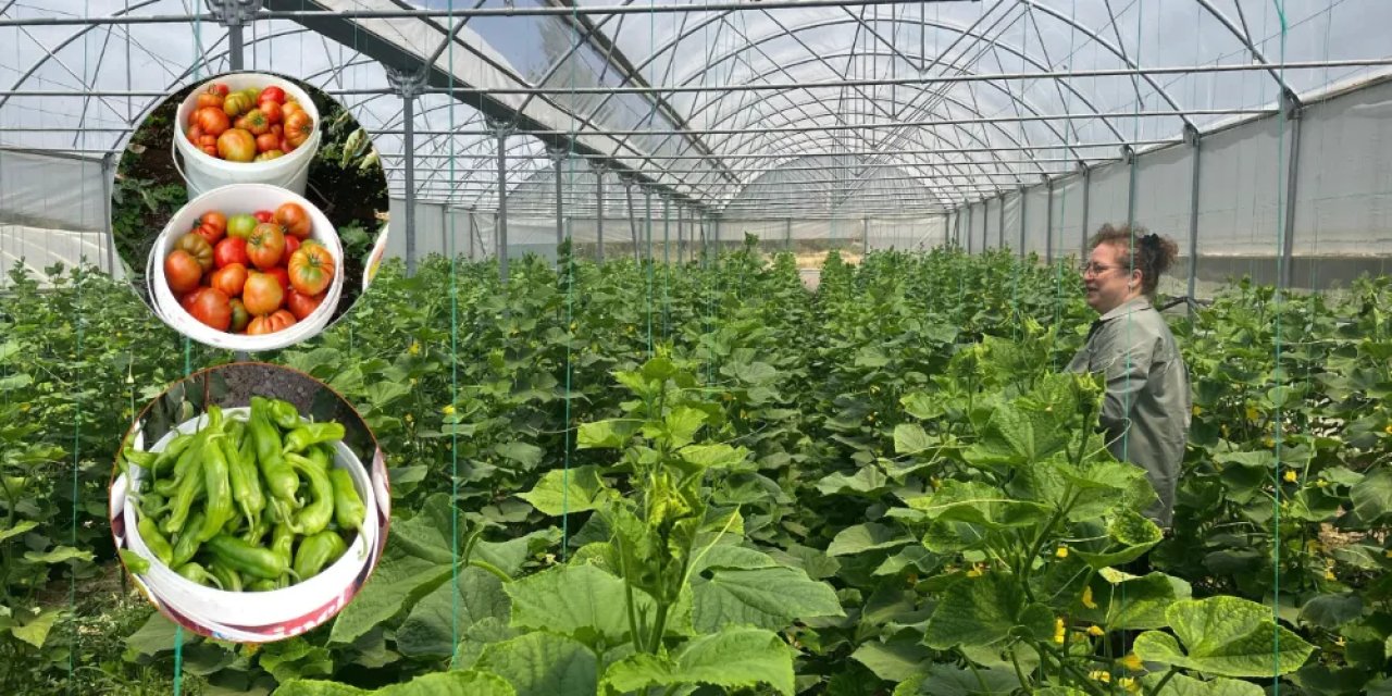 KOP seracılık projesine başvurular başladı