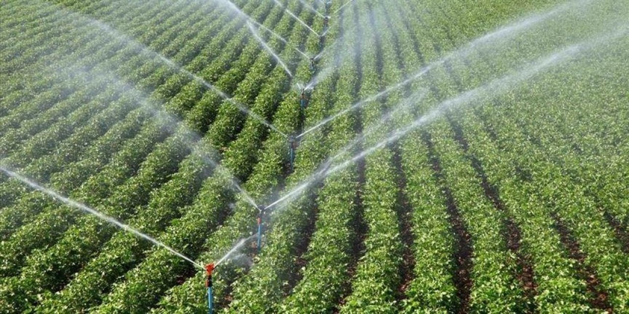 IPARD'dan bugüne kadar 343 milyon avro