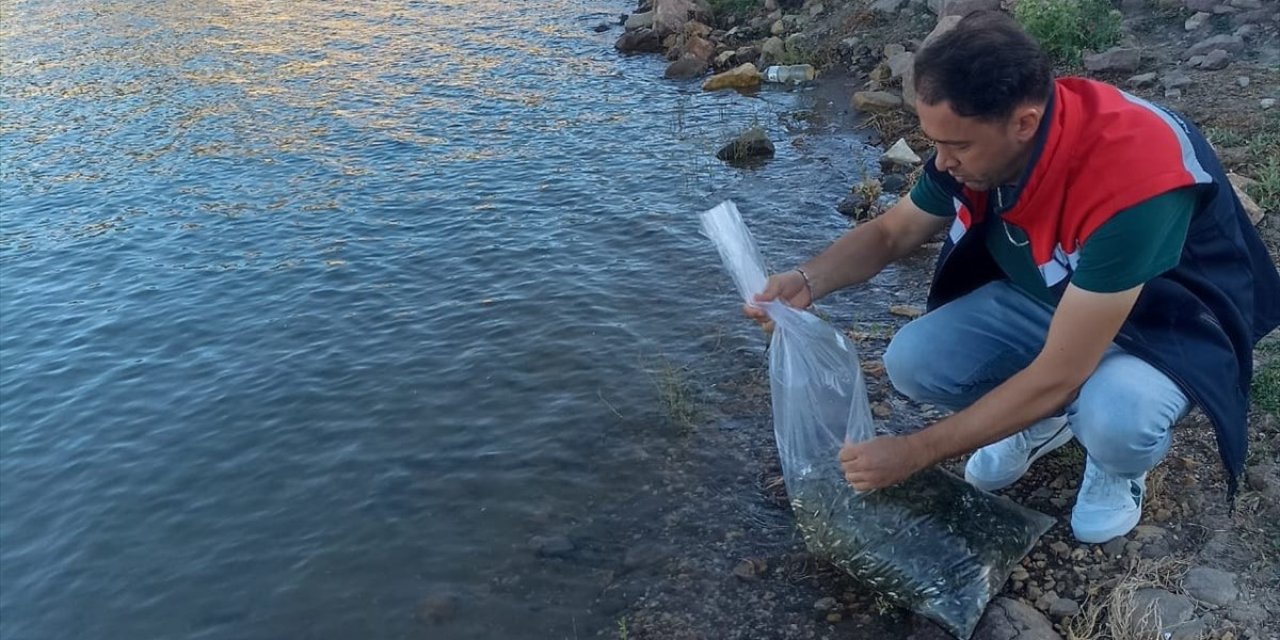 Beyşehir'e yüz binlerce yavru sazan bırakıldı