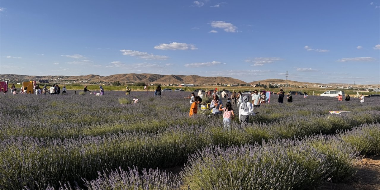 Aksaray'da belediyenin kurduğu lavanta bahçesinin sezon açılışı yapıldı