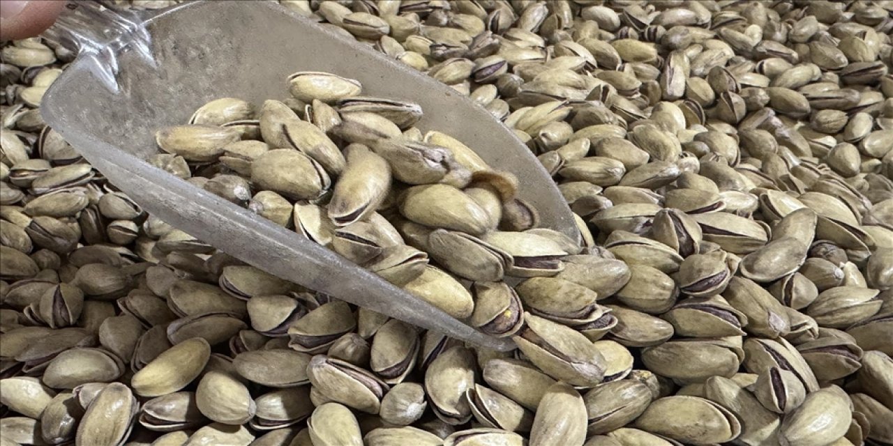 Antep fıstığı ihracatı yılın ilk yarısında yüzde 17 arttı
