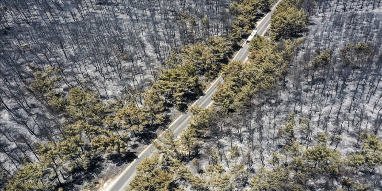 Buca'da yanan ormanlık alan havadan görüntülendi