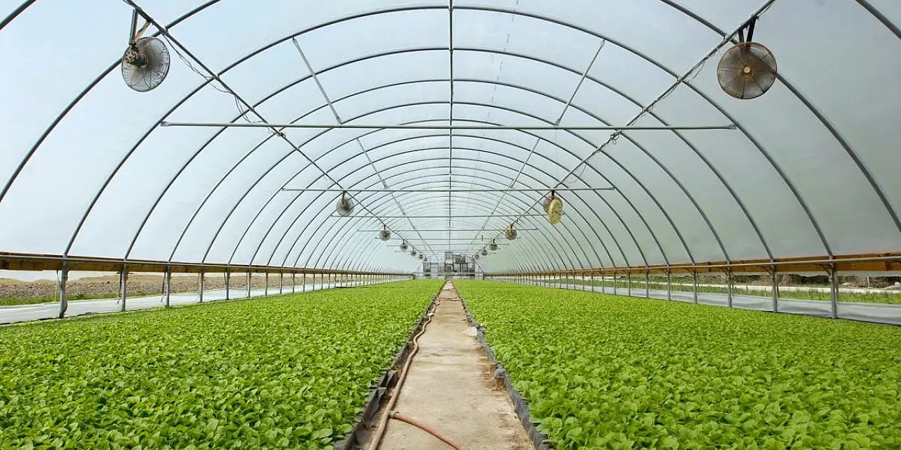 Kop Seracılık Yaygınlaşıyor Projesi’ne başvurular başladı